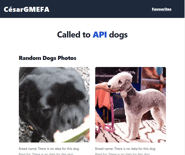 imagen del proyecto de una web que muestra imagenes de perros